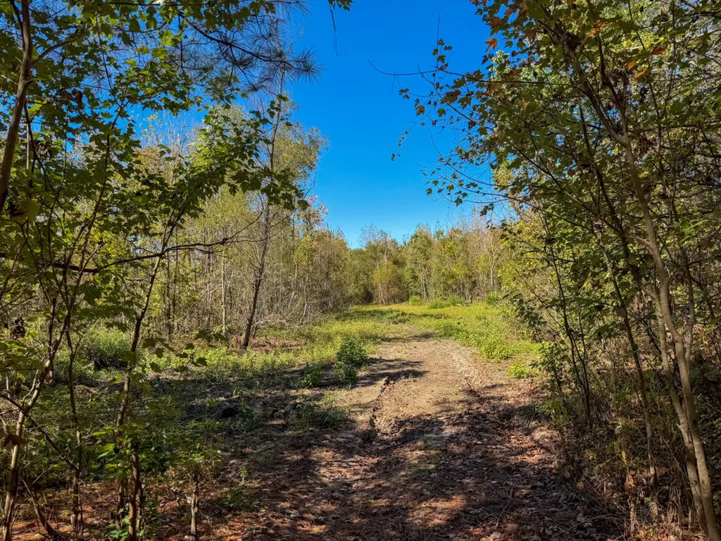 0 Hwy 14 E Selma AL 36701