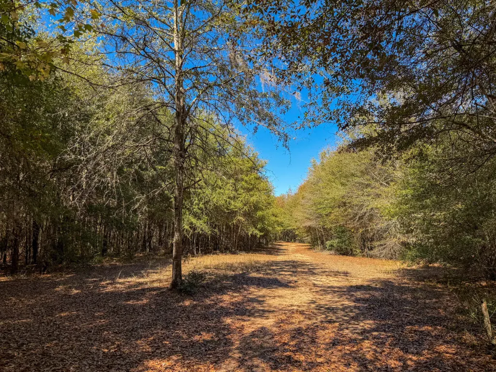 0 Hwy 14 E Selma AL 36701