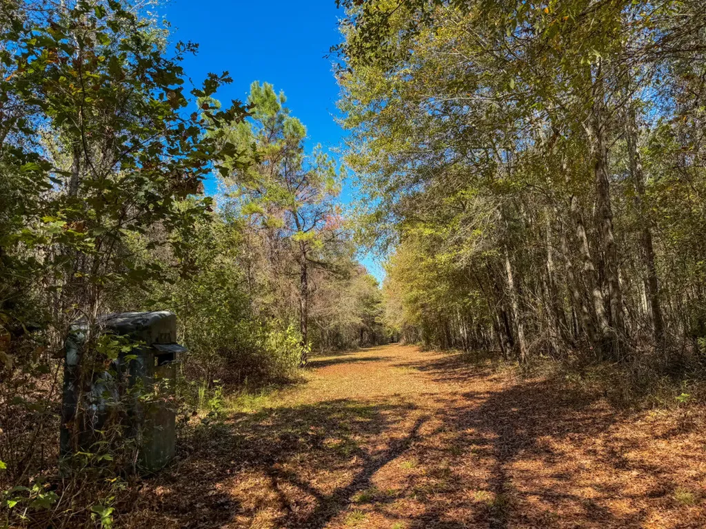 0 Hwy 14 E Selma AL 36701