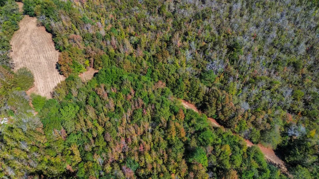 0 Hwy 14 E Selma AL 36701