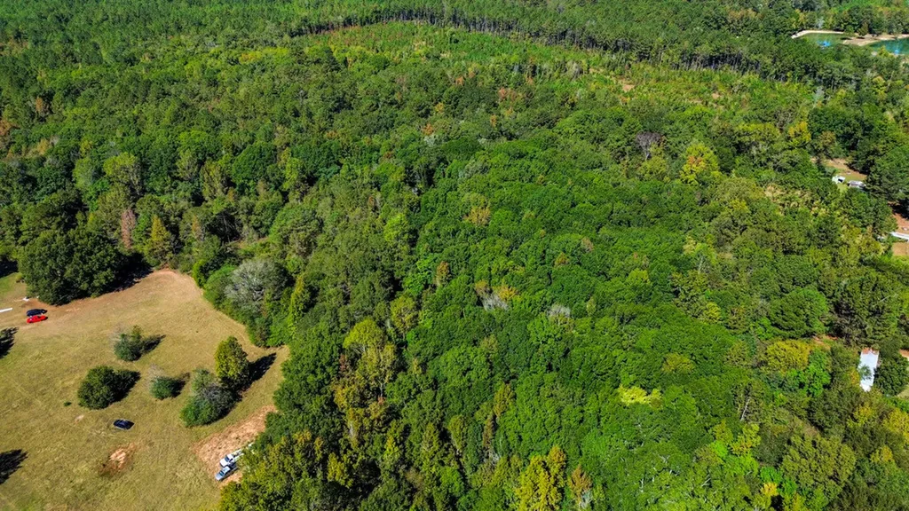 520 Doe Run Road Selma AL 36701