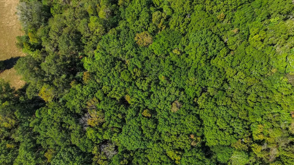 520 Doe Run Road Selma AL 36701