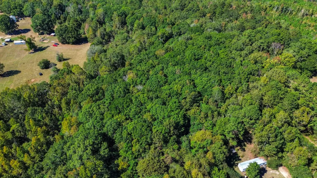 520 Doe Run Road Selma AL 36701