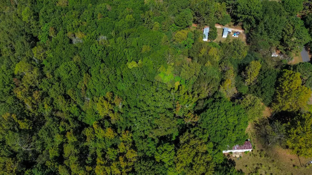 520 Doe Run Road Selma AL 36701