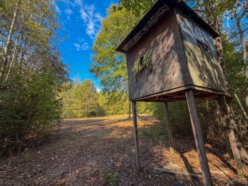 0 Highway 14 Selma AL 36701