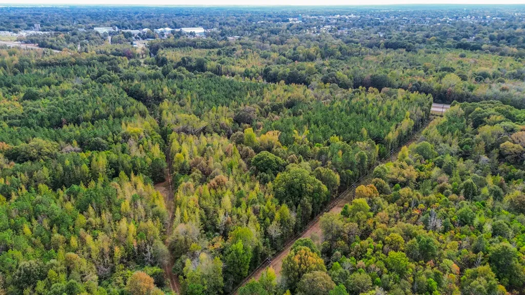 0 Highway 14 Selma AL 36701