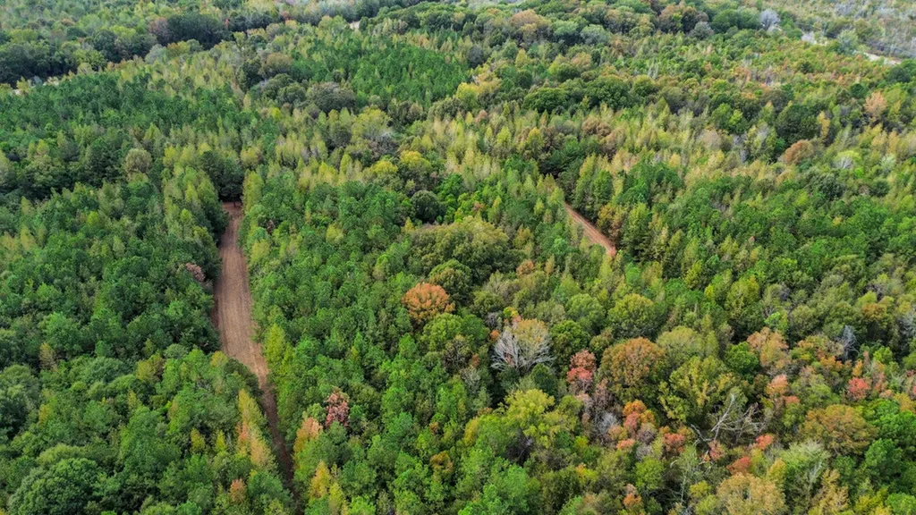 0 Highway 14 Selma AL 36701