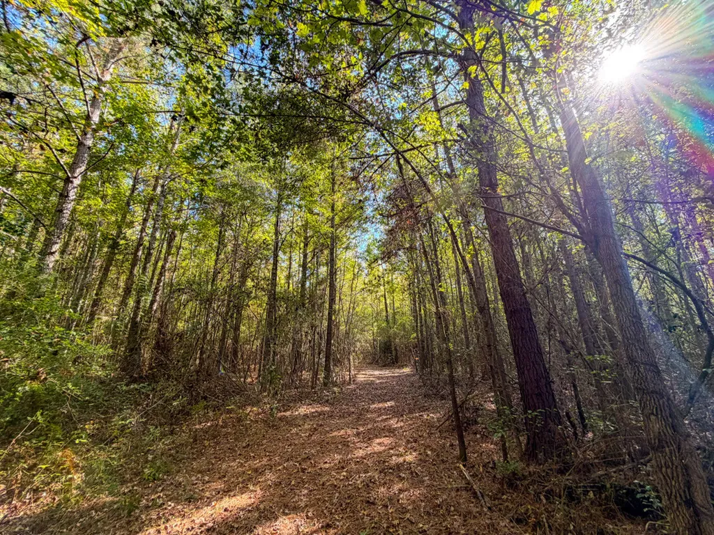 0 Highway 14 Selma AL 36701