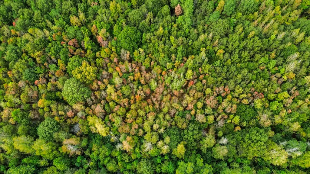 0 Highway 14 Selma AL 36701