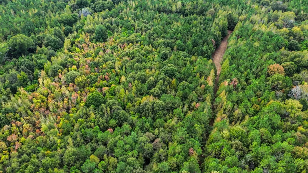 0 Highway 14 Selma AL 36701