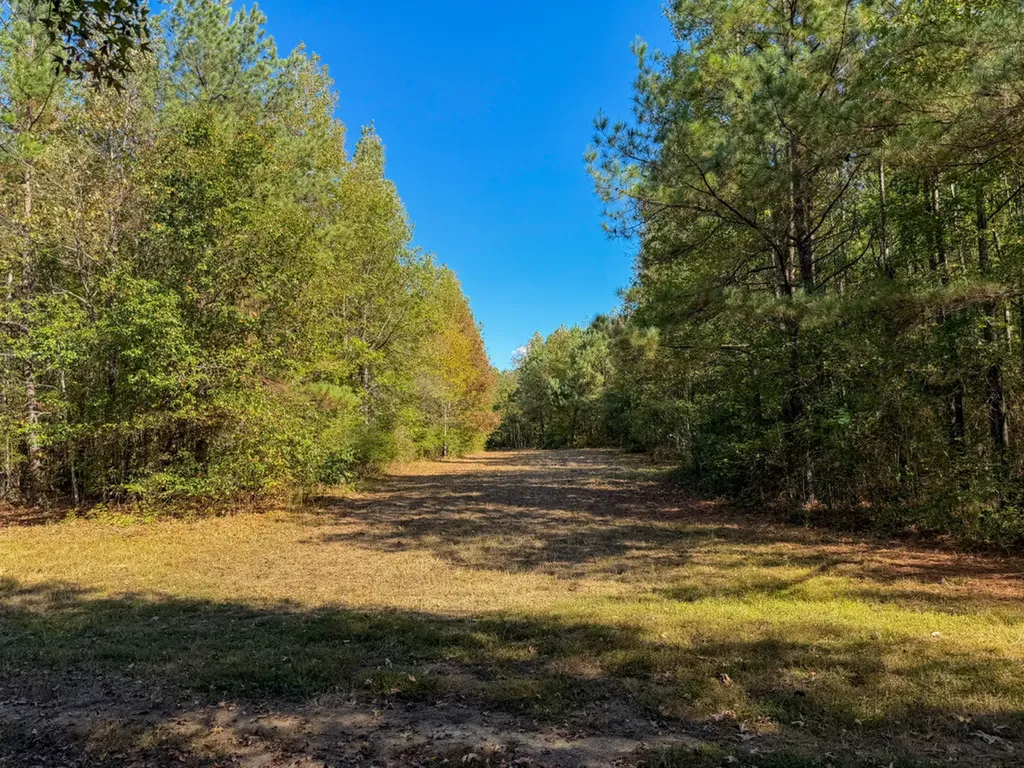 0 Highway 14 Selma AL 36701