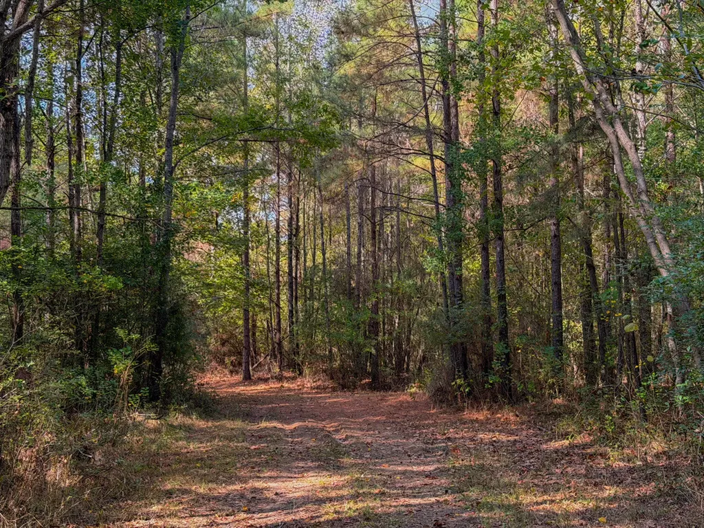 0 Highway 14 Selma AL 36701