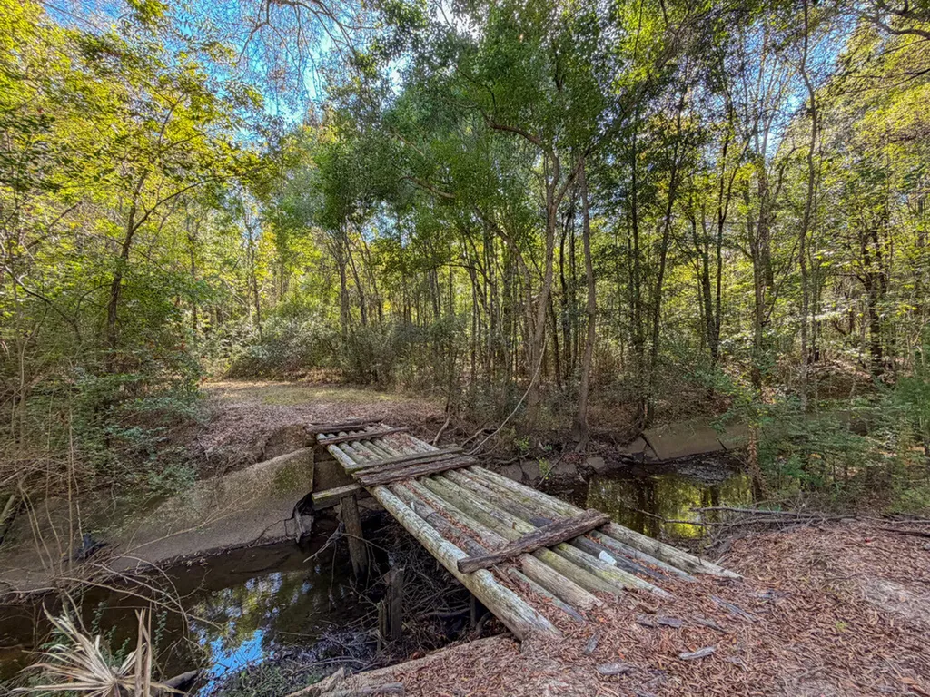 0 Highway 14 Selma AL 36701