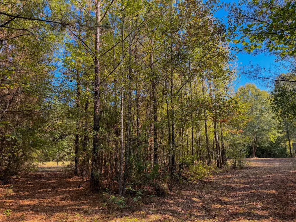 0 Highway 14 Selma AL 36701