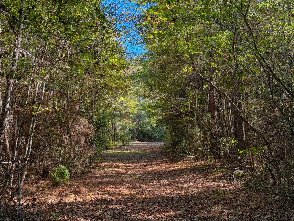 0 Highway 14 Selma AL 36701