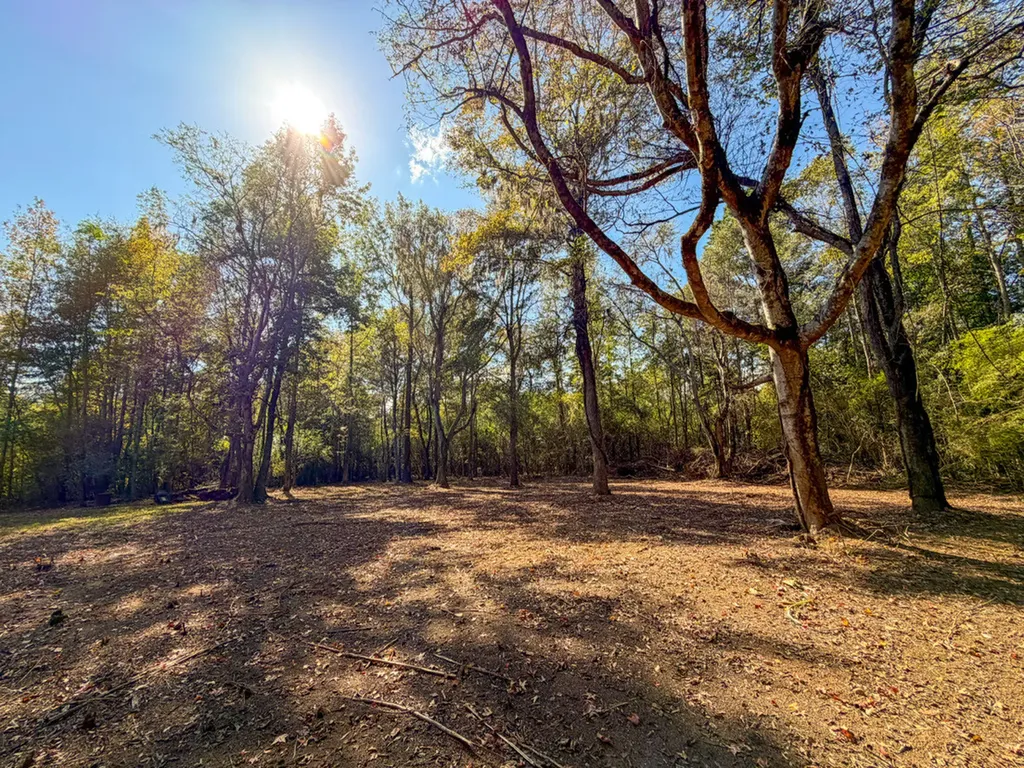 0 Highway 14 Selma AL 36701