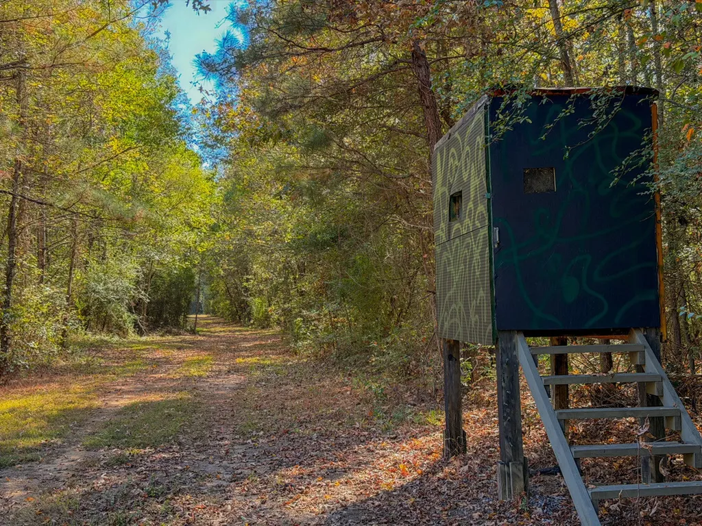 0 Highway 14 Selma AL 36701