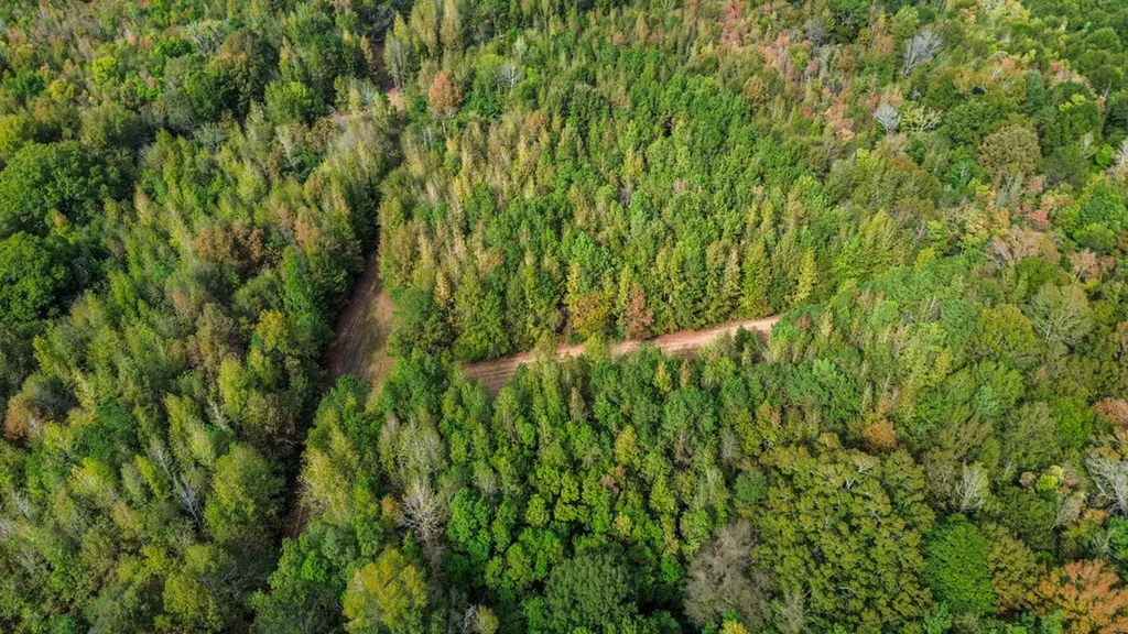 0 Highway 14 Selma AL 36701