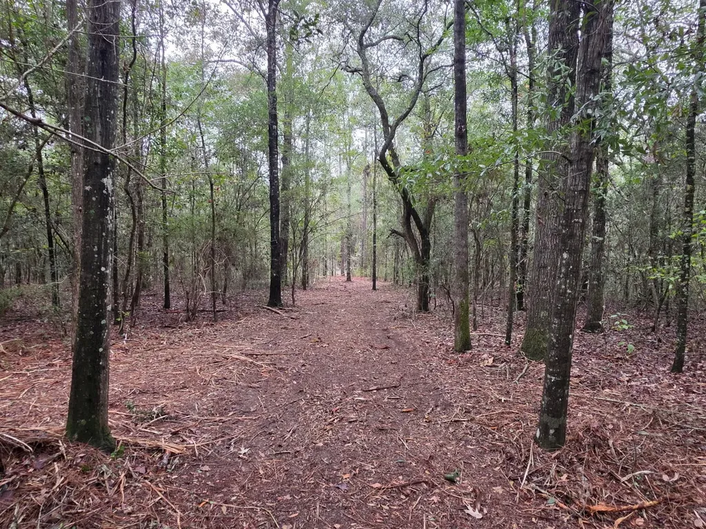 0 Co Road 10 Samson AL 36477