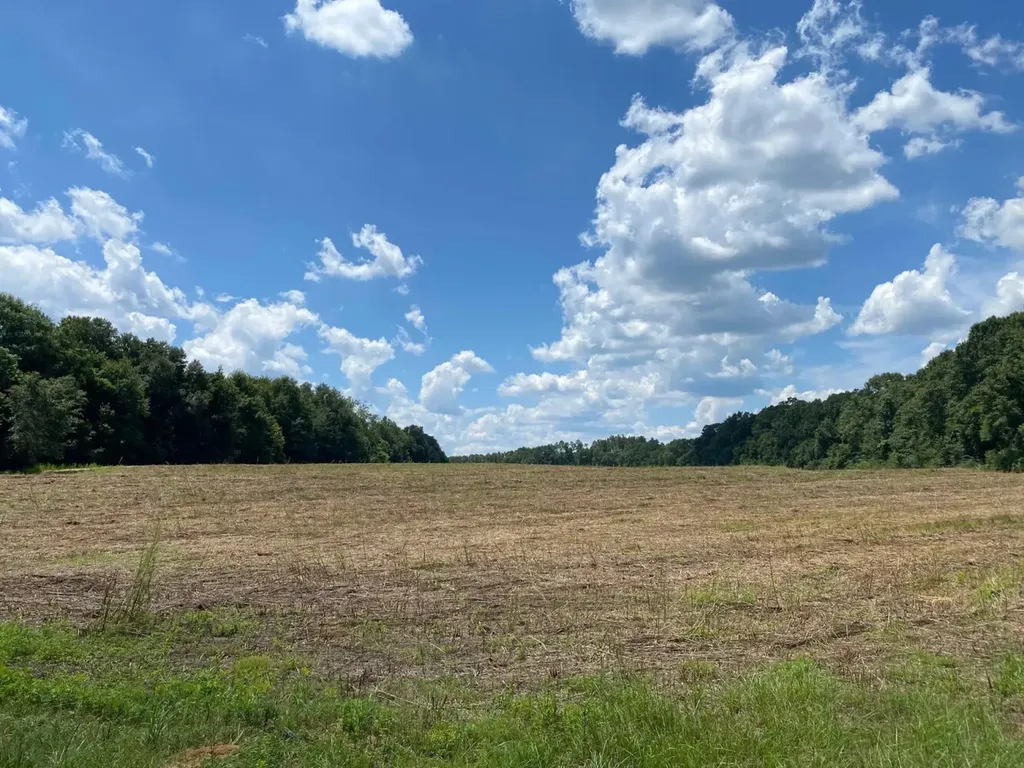 0 Co Road 10 Samson AL 36477