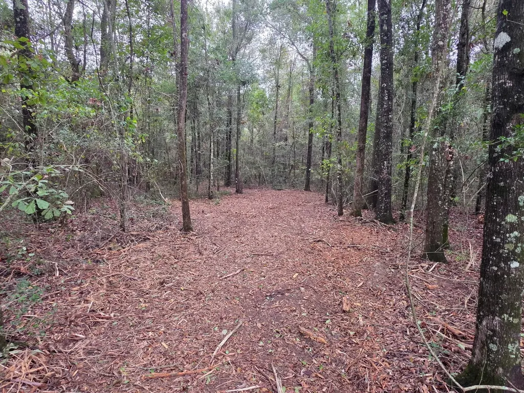 0 Co Road 10 Samson AL 36477