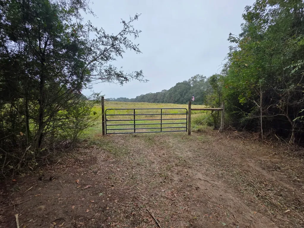 0 Co Road 10 Samson AL 36477