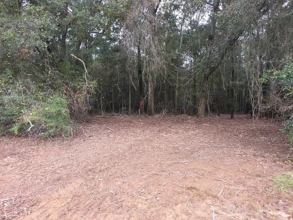 0 Co Road 10 Samson AL 36477