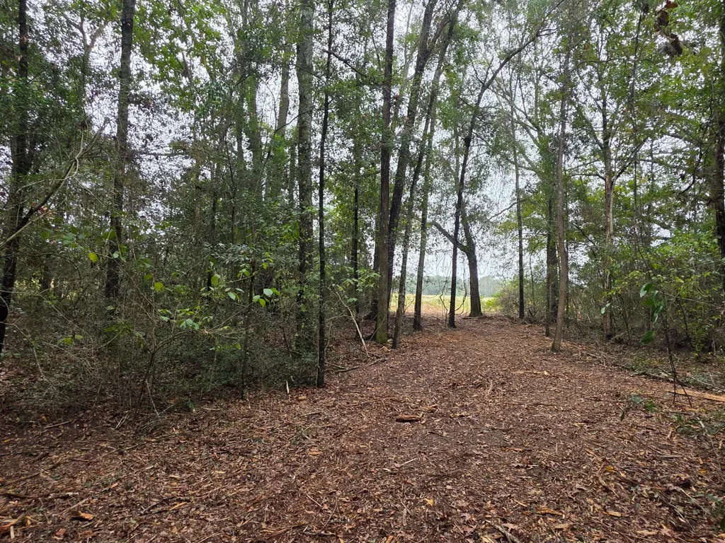 0 Co Road 10 Samson AL 36477