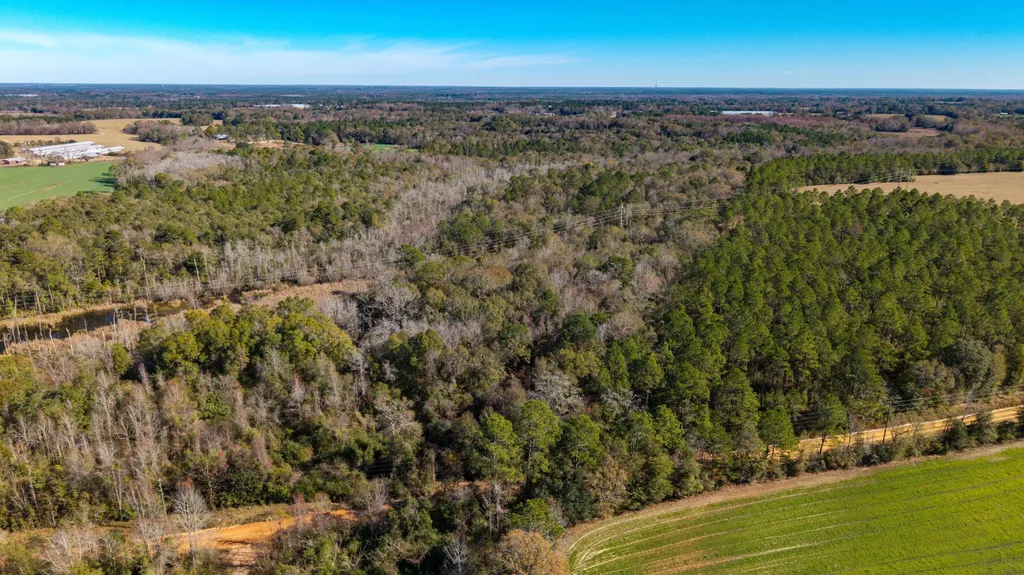 0 Co Road 10 Samson AL 36477