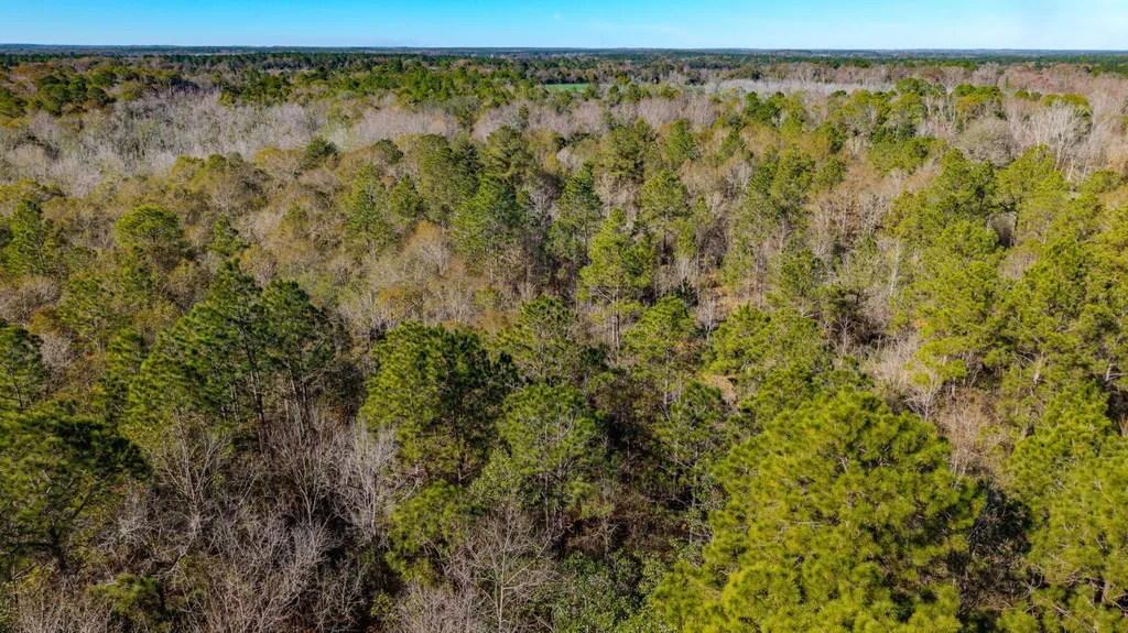 0 Co Road 10 Samson AL 36477