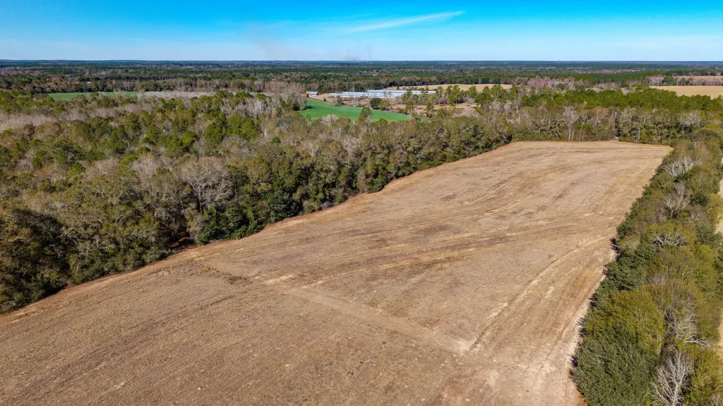 0 Co Road 10 Samson AL 36477