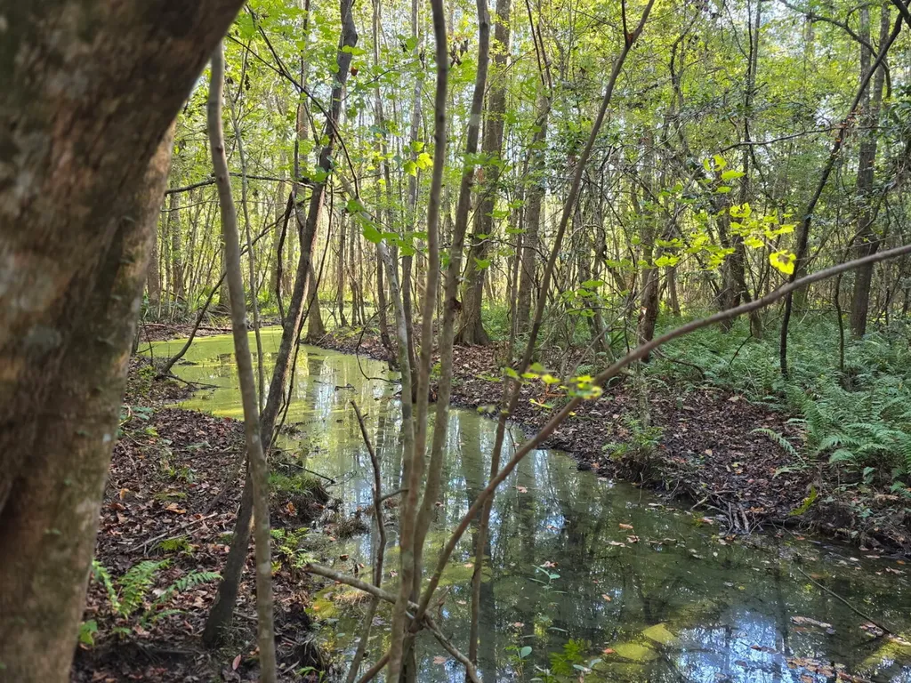 0 Co Road 10 Samson AL 36477