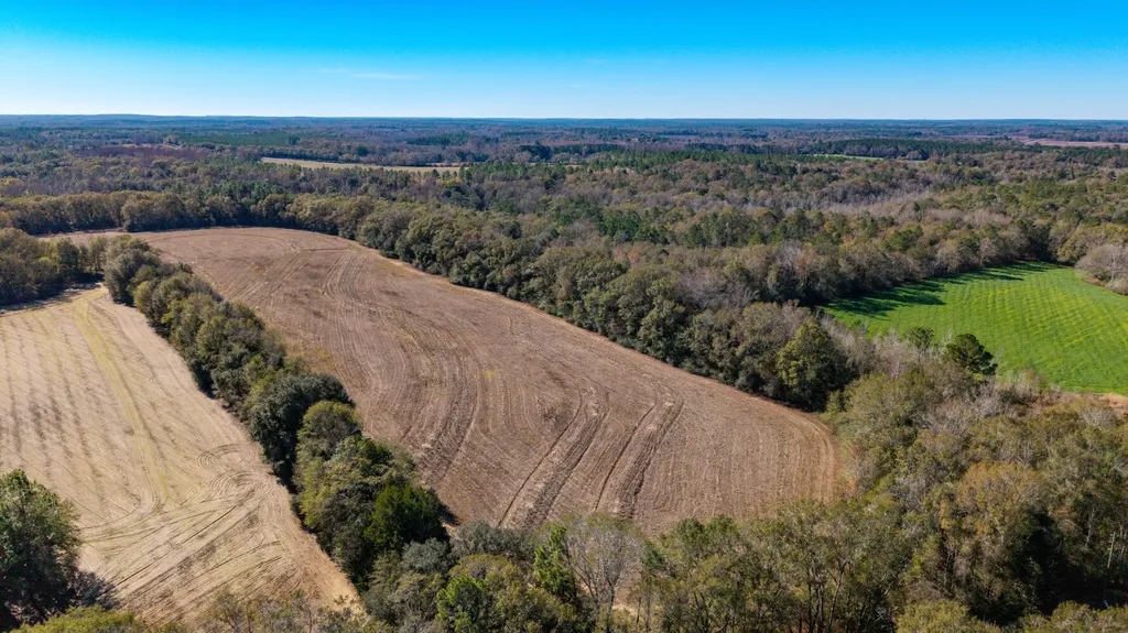 0 Co Road 10 Samson AL 36477