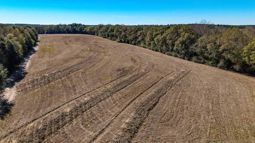 0 Co Road 10 Samson AL 36477