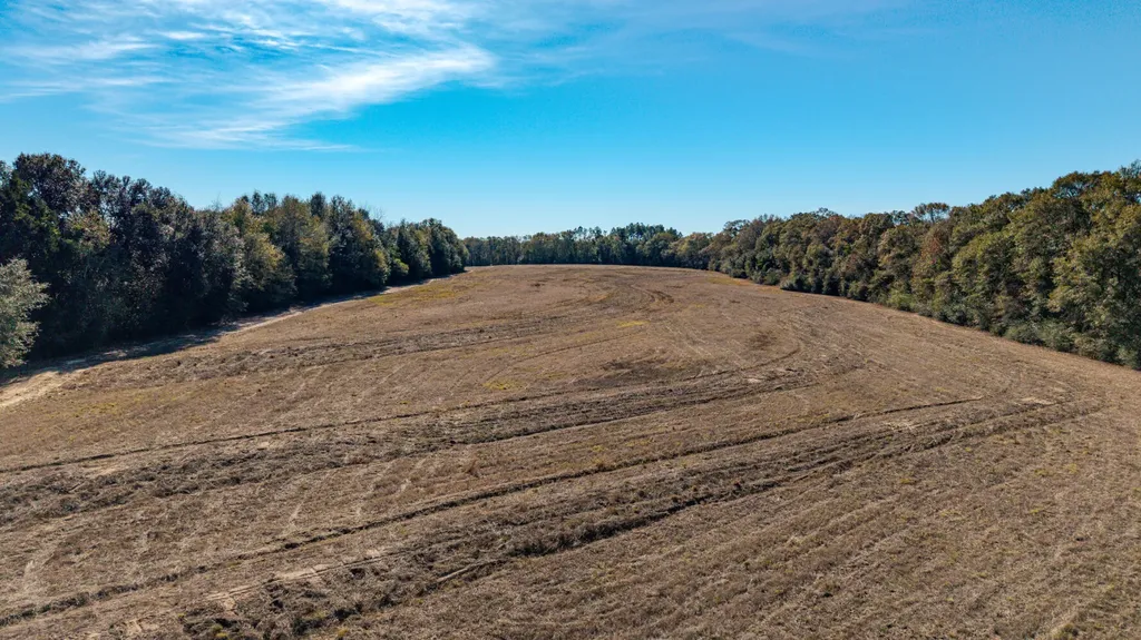 0 Co Road 10 Samson AL 36477