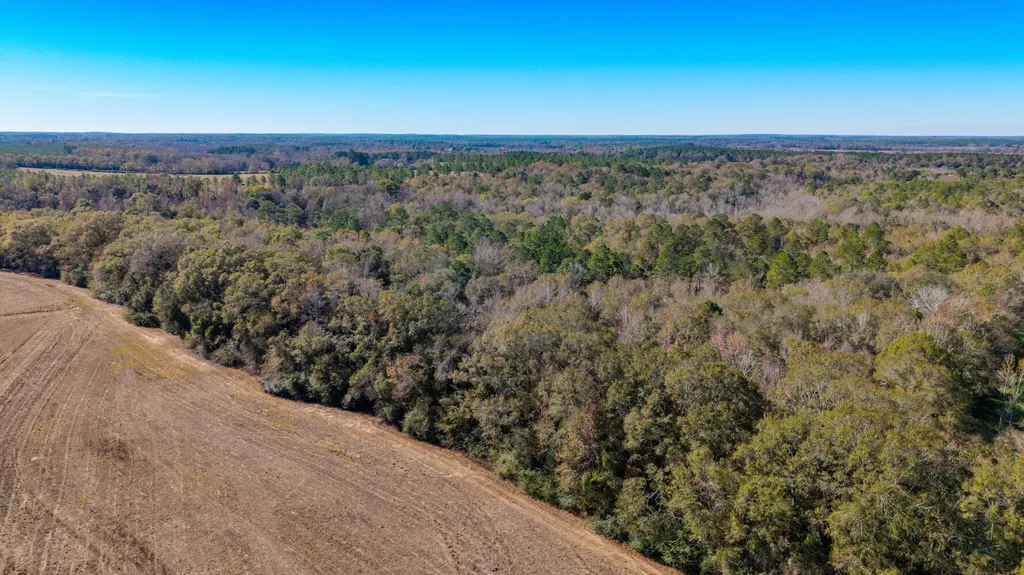 0 Co Road 10 Samson AL 36477