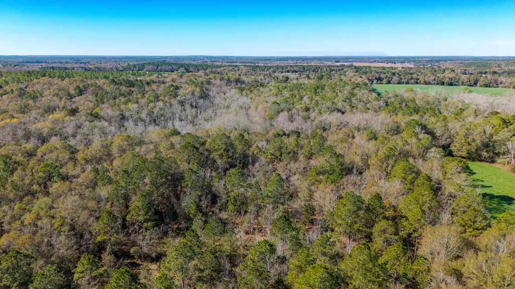 0 Co Road 10 Samson AL 36477