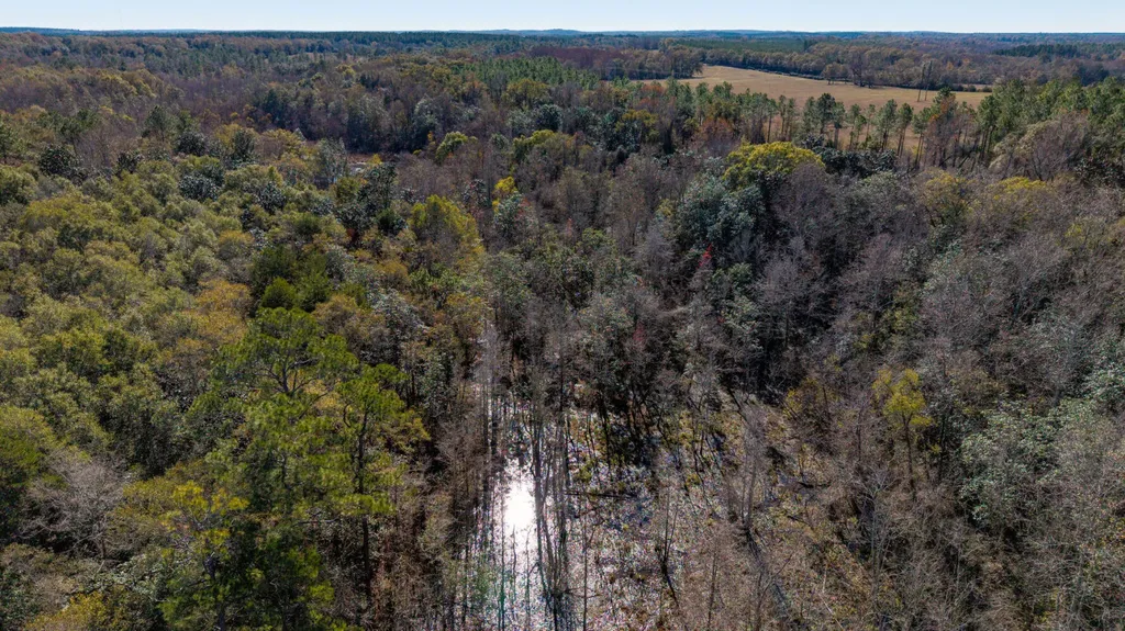 0 Co Road 10 Samson AL 36477