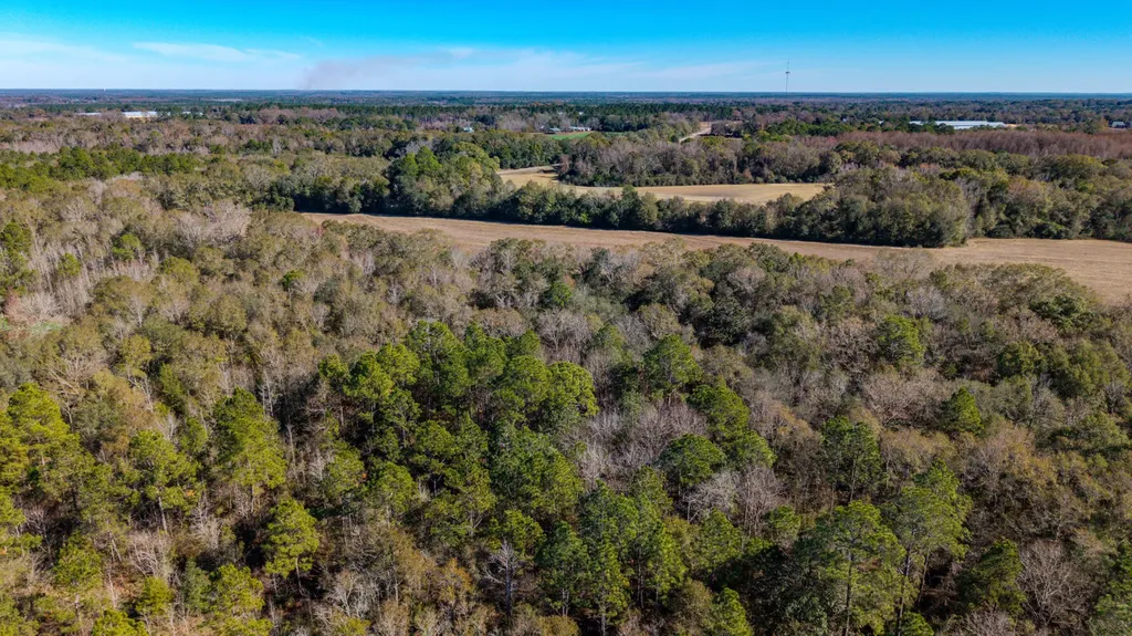 0 Co Road 10 Samson AL 36477