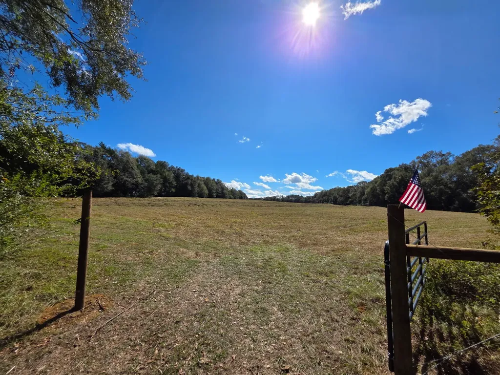 0 Co Road 10 Samson AL 36477