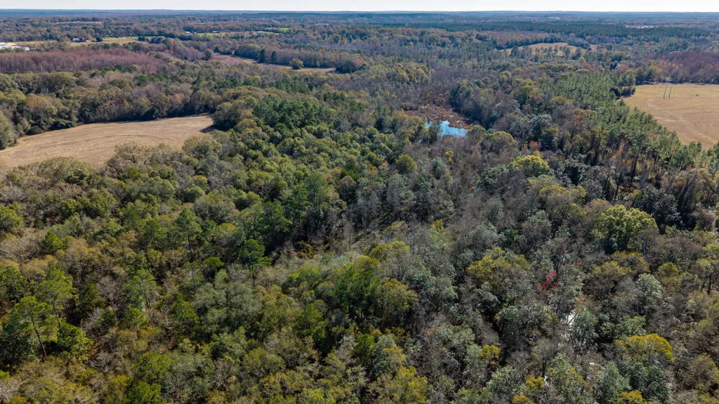 0 Co Road 10 Samson AL 36477