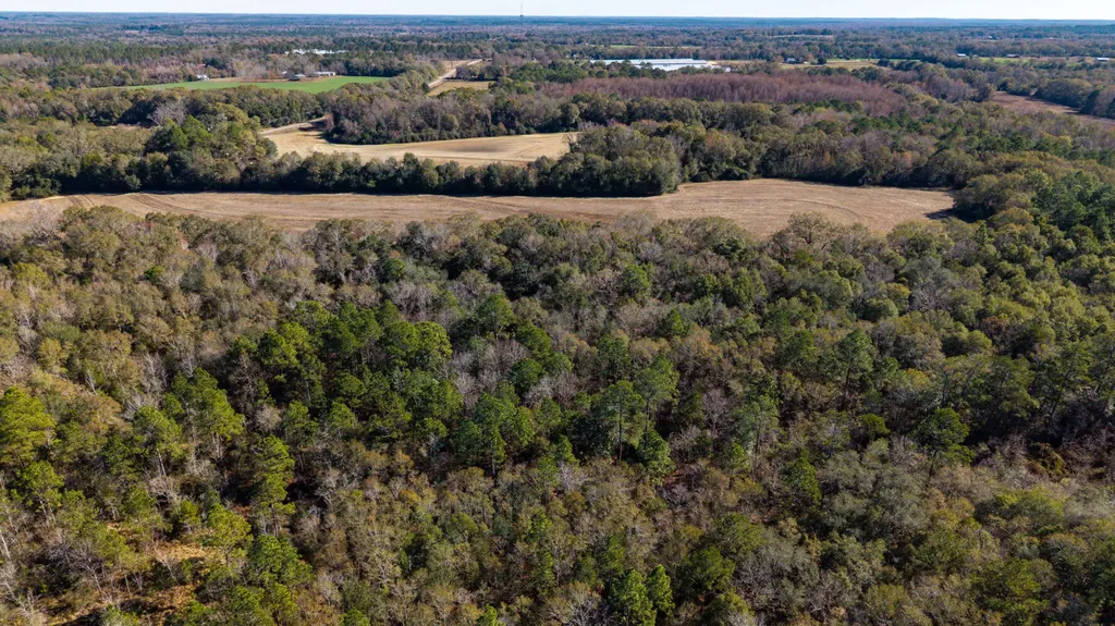 0 Co Road 10 Samson AL 36477