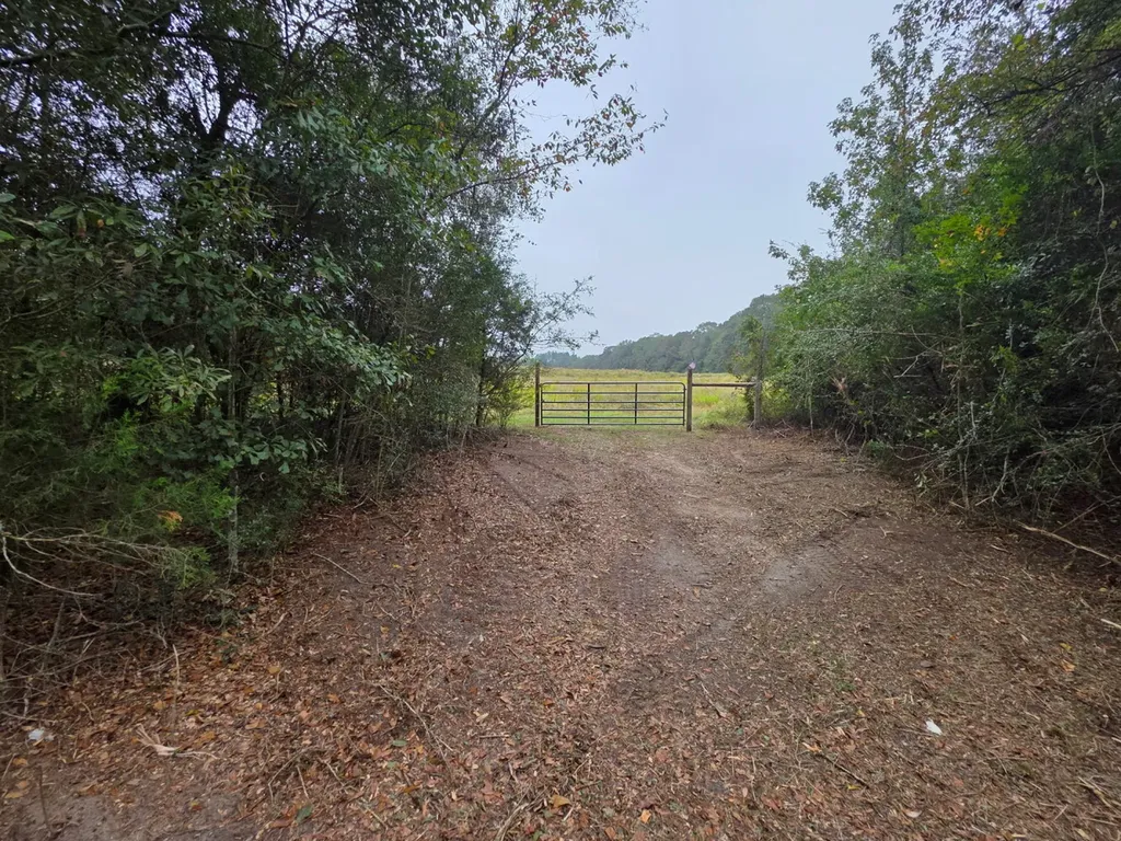 0 Co Road 10 Samson AL 36477