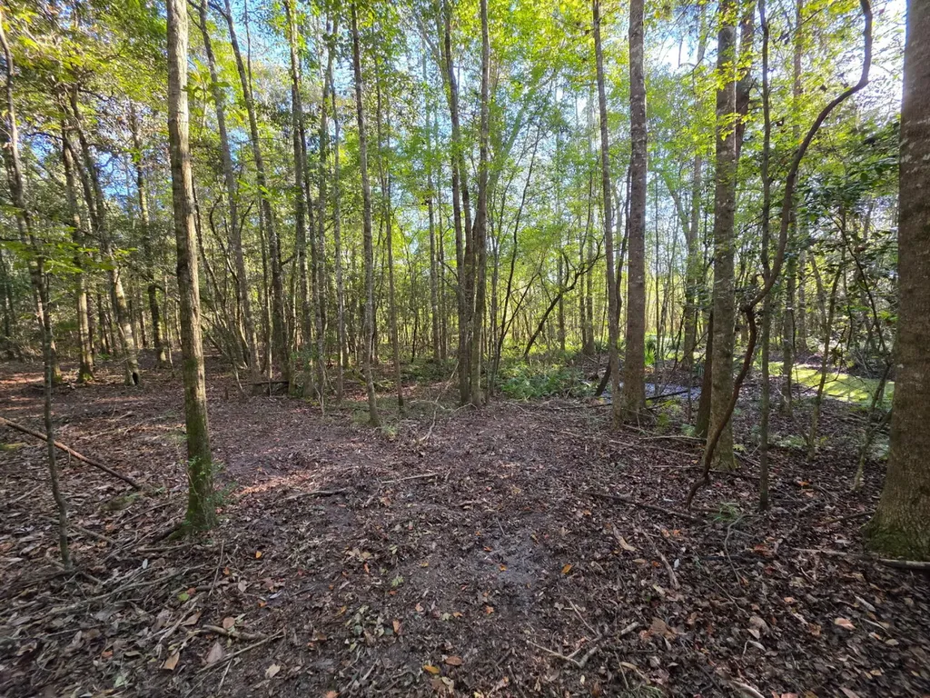 0 Co Road 10 Samson AL 36477