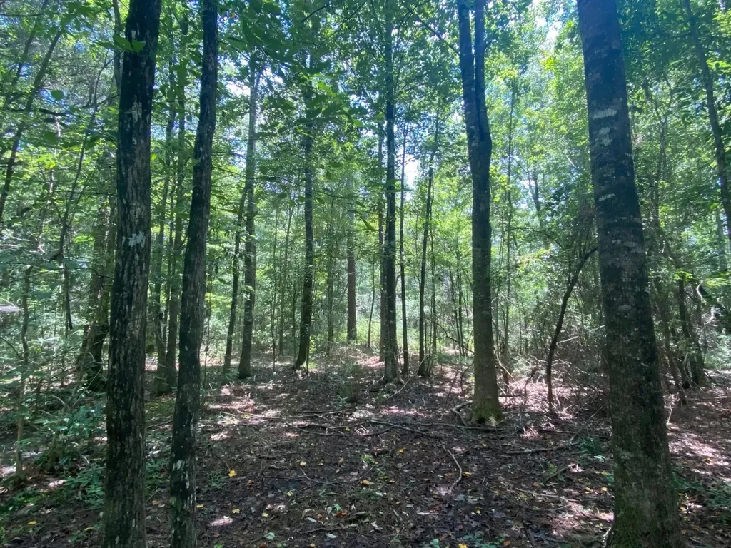 0 Co Road 10 Samson AL 36477