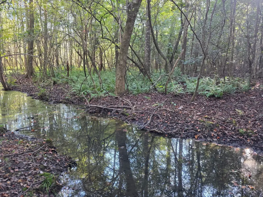 0 Co Road 10 Samson AL 36477