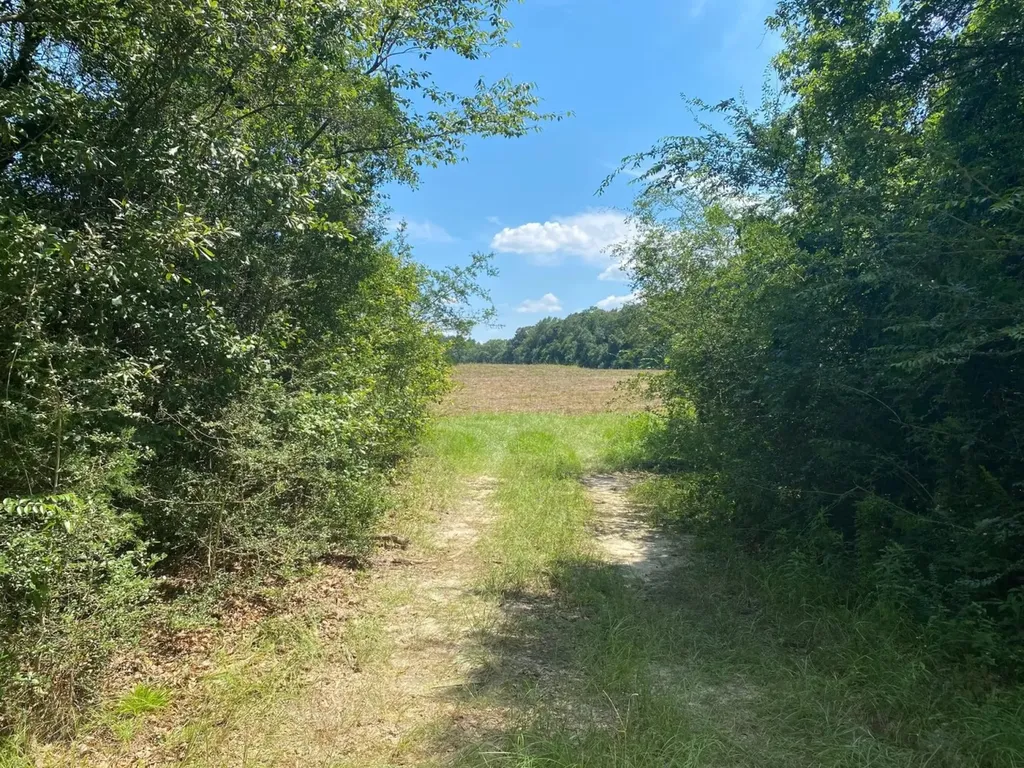 0 Co Road 10 Samson AL 36477