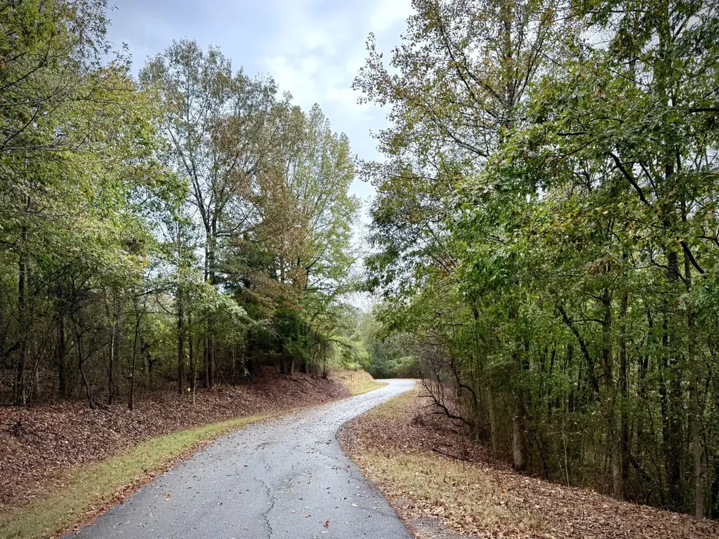 0 Scott Road Sipsey AL 35584