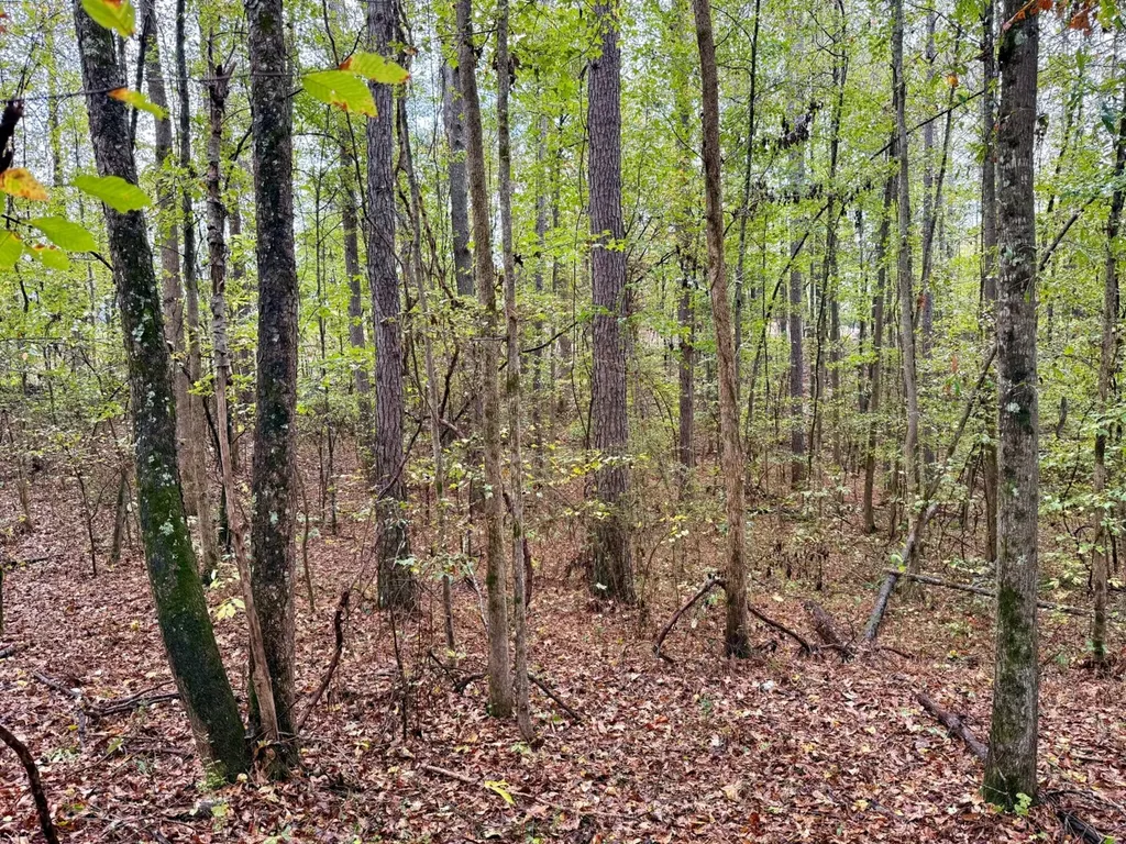 0 Scott Road Sipsey AL 35584