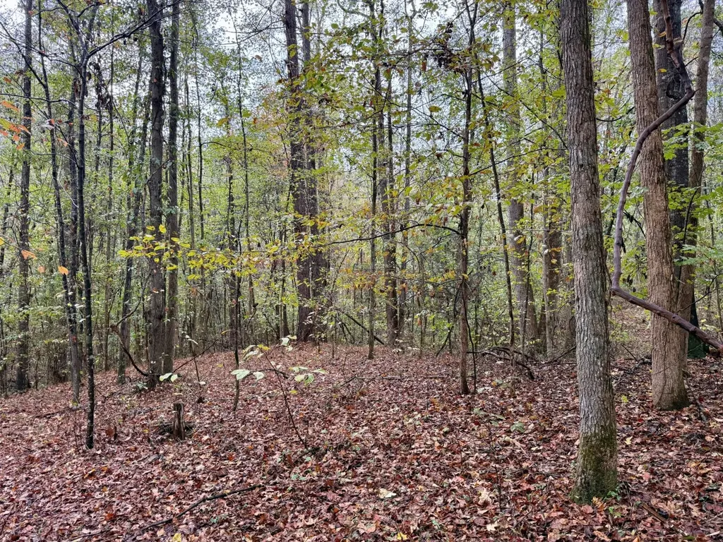 0 Scott Road Sipsey AL 35584